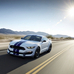 Ford Mustang Shelby GT350 is back