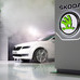 Record sales for Skoda in 2010