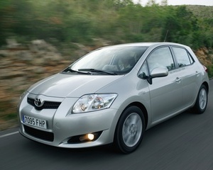 Auris