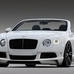 Bentley Continental Audentia