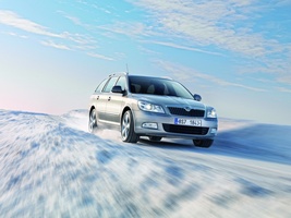 Skoda Octavia Break 2.0 TDI 4x4 Elegance