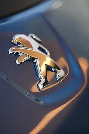 Peugeot iOn becomes reality