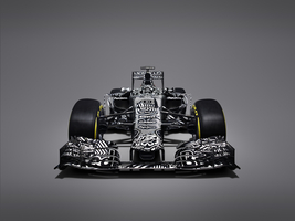 Red Bull surprised with a camouflaged livery with the RB11