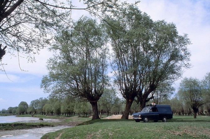 DAF 33 Van