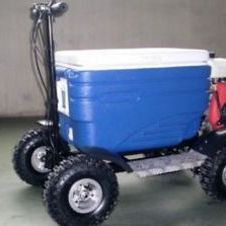 Australian man loses license after drink driving on motorised ‘esky’