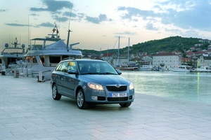 Skoda Fabia 1.4 TDI 80cv Classic Van