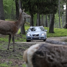 Future Volvos to automatically avoid animal collisions