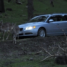 Future Volvos to automatically avoid animal collisions