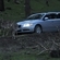 Future Volvos to automatically avoid animal collisions