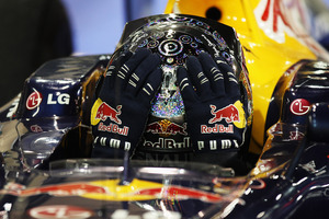 Vettel: 2010 Formula One World Champion