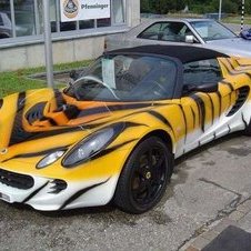 Car paint jobs