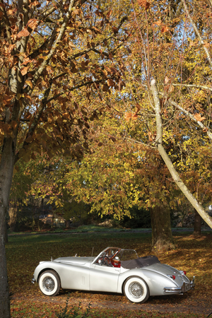 Jaguar XK 140 SE Drophead Coupé