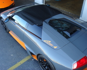 Murcielago