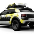 C4 Cactus 1.6 BlueHDi Airdream CVM Feel17