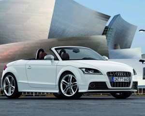 TTS Roadster 2.0 TFSI quattro S tronic