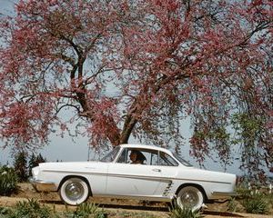 Floride Coupé