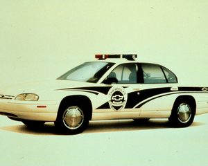 Lumina Police Vehicle