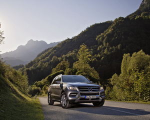 ML 500 4Matic BlueEfficiency