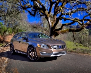 V60 Cross Country D4 Kinetic