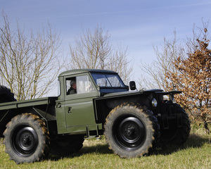 Series II Forest