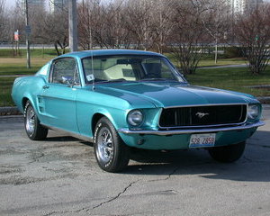 Mustang Fastback 289