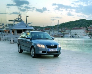 Fabia 1.4 TDI Classic Van