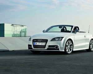 TTS Roadster 2.0 TFSI