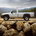 Land Rover 90 Defender Soft Top E vs Mazda BT-50 Regular Cab 4x2 Active vs Volvo XC70 D5 Momentum