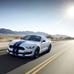 Mustang Shelby GT350