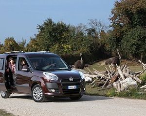 Doblò Cargo Maxi 1.3 Multijet SX