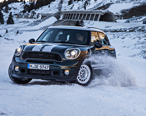 Countryman Cooper D