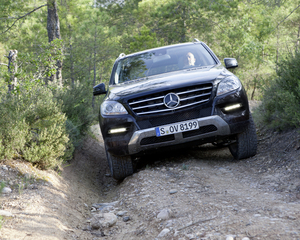 ML 350 4 Matic BlueEFFICIENCY