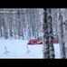 Ferrari FF tested by Markku Alen on a snow-covered forest stage